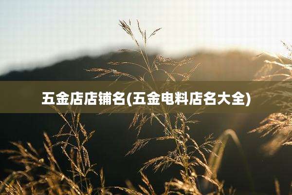 五金店店铺名(五金电料店名大全)