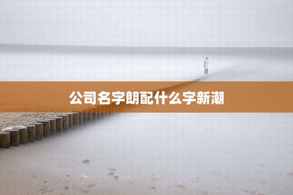 公司名字朗配什么字新潮
