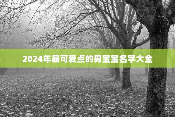 2024年最可爱点的男宝宝名字大全