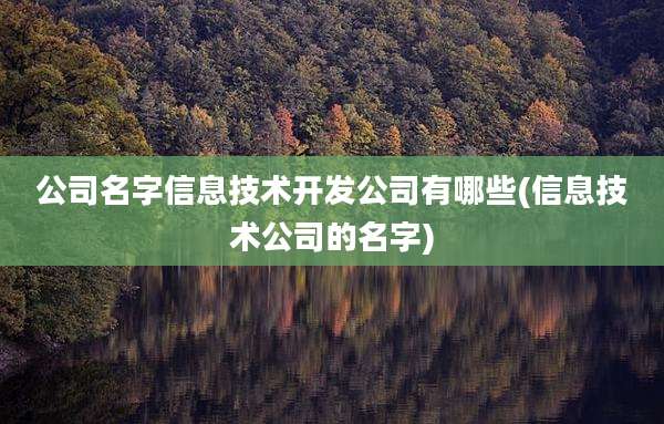 公司名字信息技术开发公司有哪些(信息技术公司的名字)