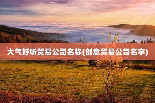 大气好听贸易公司名称(创意贸易公司名字)