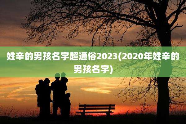 姓辛的男孩名字超通俗2023(2020年姓辛的男孩名字)