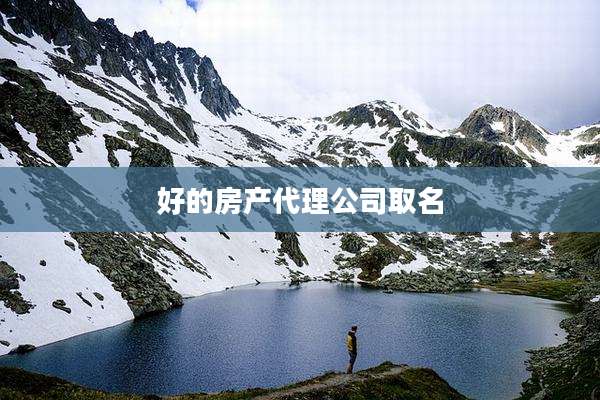 好的房产代理公司取名