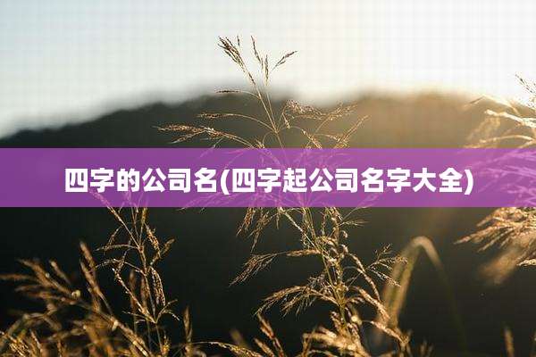 四字的公司名(四字起公司名字大全)
