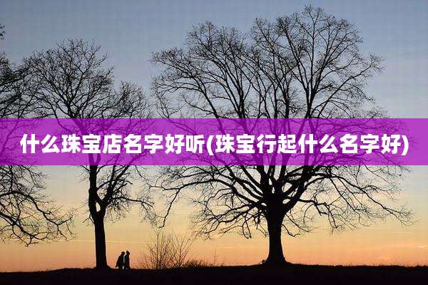 什么珠宝店名字好听(珠宝行起什么名字好)
