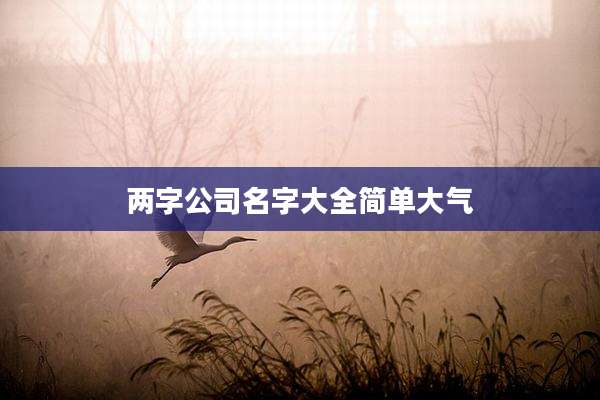 两字公司名字大全简单大气
