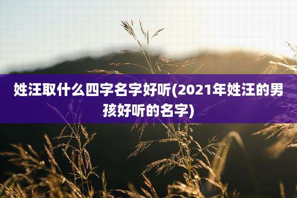 姓汪取什么四字名字好听(2021年姓汪的男孩好听的名字)