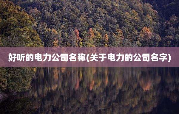 好听的电力公司名称(关于电力的公司名字)