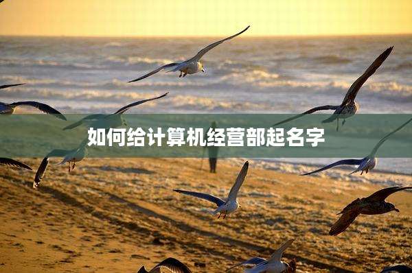 如何给计算机经营部起名字