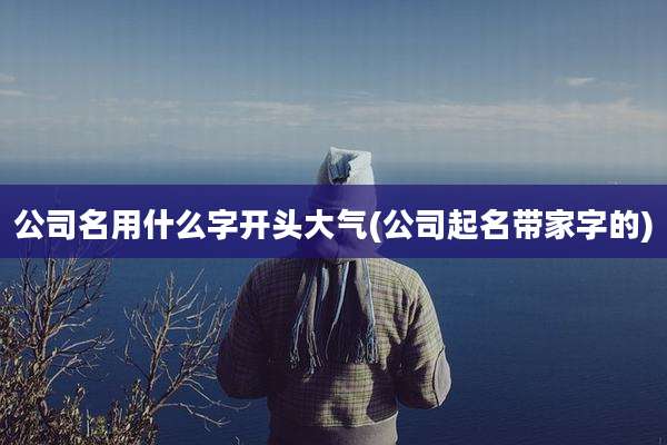 公司名用什么字开头大气(公司起名带家字的)