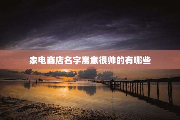 家电商店名字寓意很帅的有哪些