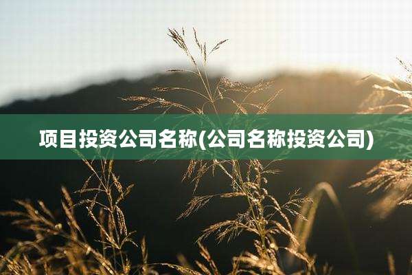 项目投资公司名称(公司名称投资公司)