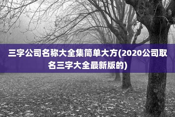 三字公司名称大全集简单大方(2020公司取名三字大全最新版的)