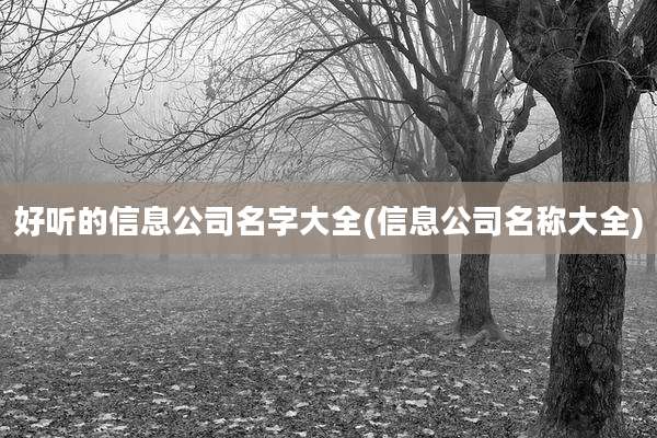 好听的信息公司名字大全(信息公司名称大全)