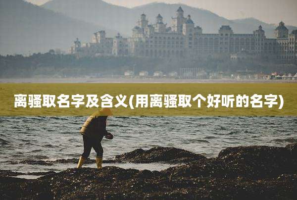 离骚取名字及含义(用离骚取个好听的名字)