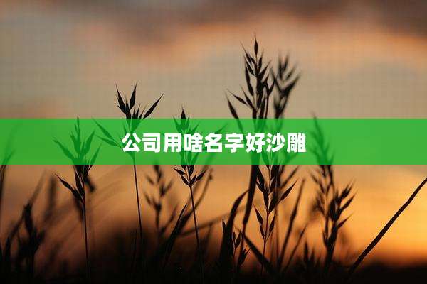 公司用啥名字好沙雕