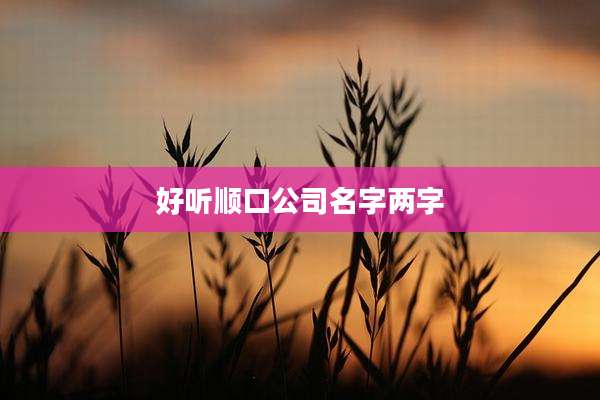 好听顺口公司名字两字