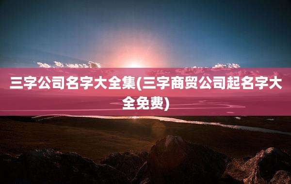 三字公司名字大全集(三字商贸公司起名字大全免费)