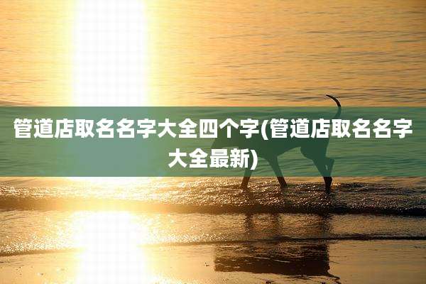 管道店取名名字大全四个字(管道店取名名字大全最新)