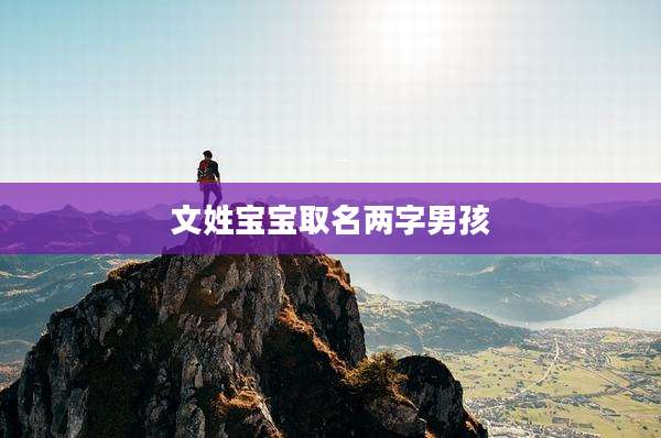 文姓宝宝取名两字男孩
