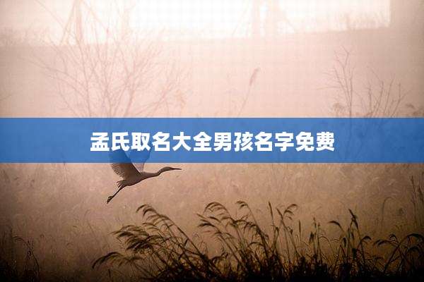 孟氏取名大全男孩名字免费