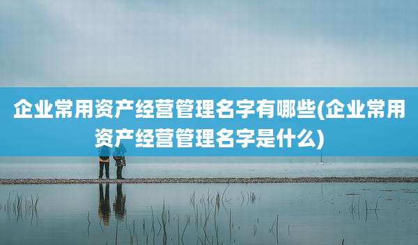 企业常用资产经营管理名字有哪些(企业常用资产经营管理名字是什么)