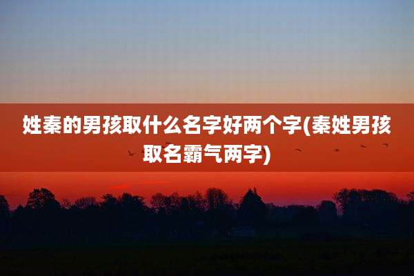 姓秦的男孩取什么名字好两个字(秦姓男孩取名霸气两字)