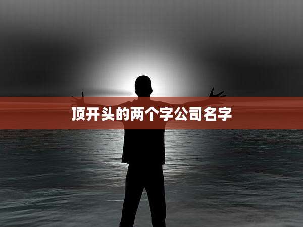 顶开头的两个字公司名字