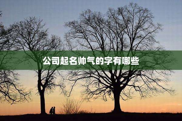 公司起名帅气的字有哪些