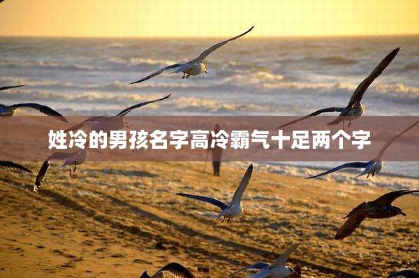 姓冷的男孩名字高冷霸气十足两个字