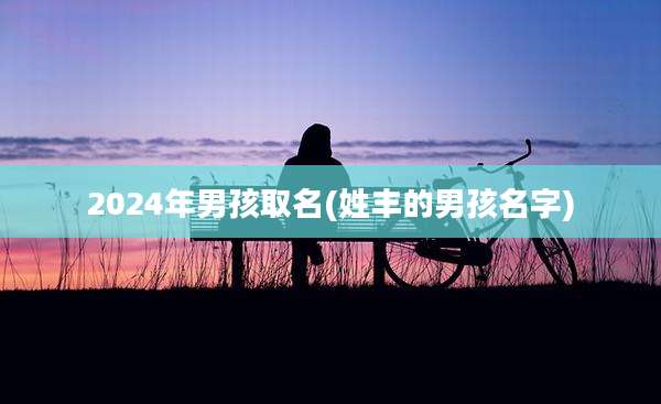 2024年男孩取名(姓丰的男孩名字)