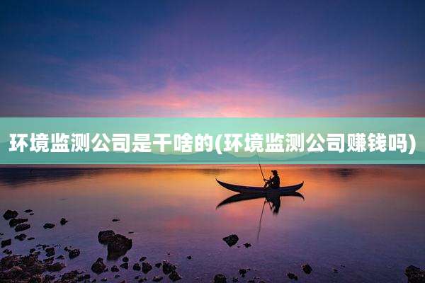 环境监测公司是干啥的(环境监测公司赚钱吗)