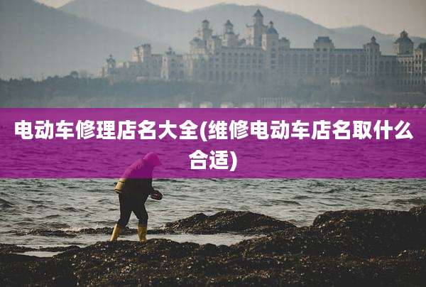 电动车修理店名大全(维修电动车店名取什么合适)