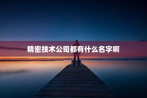 精密技术公司都有什么名字啊
