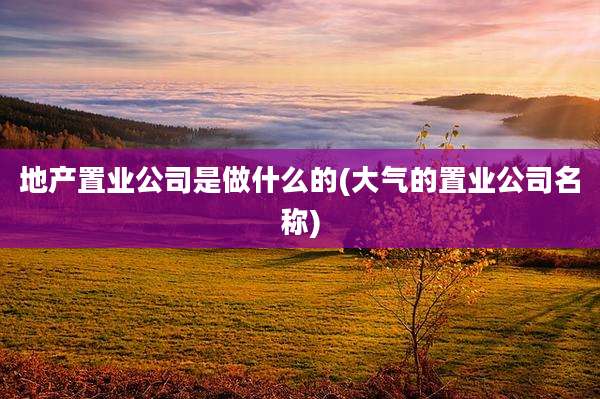 地产置业公司是做什么的(大气的置业公司名称)