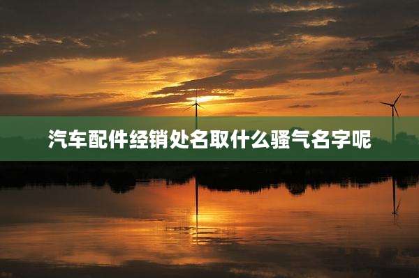 汽车配件经销处名取什么骚气名字呢
