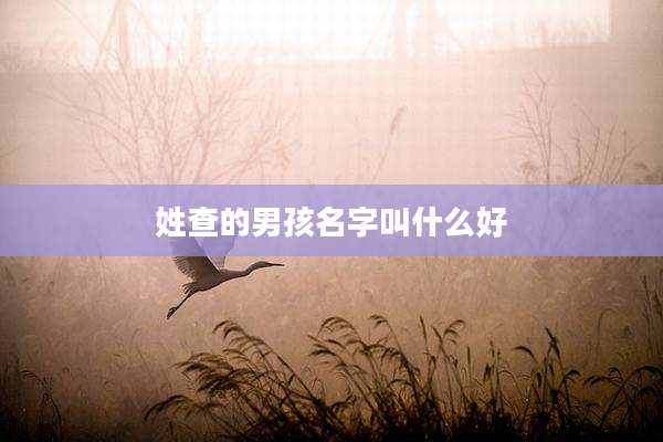 姓查的男孩名字叫什么好