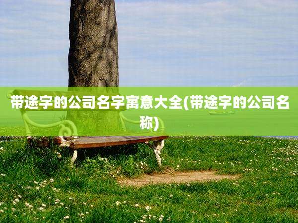 带途字的公司名字寓意大全(带途字的公司名称)