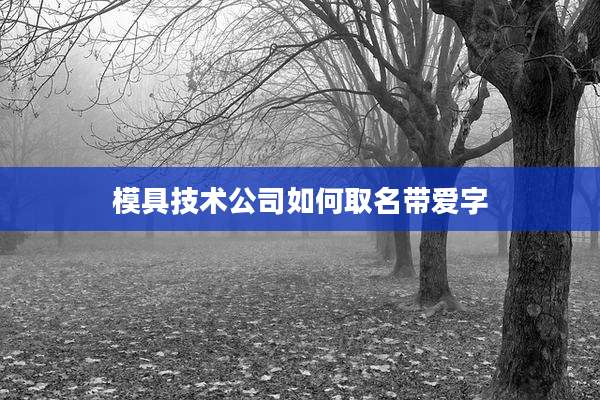 模具技术公司如何取名带爱字