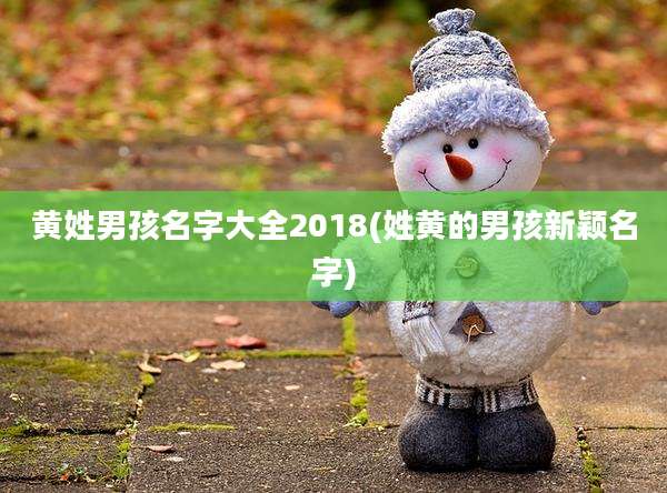 黄姓男孩名字大全2018(姓黄的男孩新颖名字)