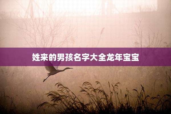 姓来的男孩名字大全龙年宝宝