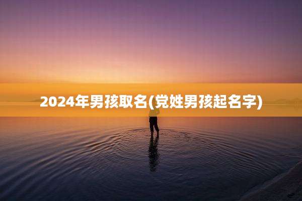 2024年男孩取名(党姓男孩起名字)