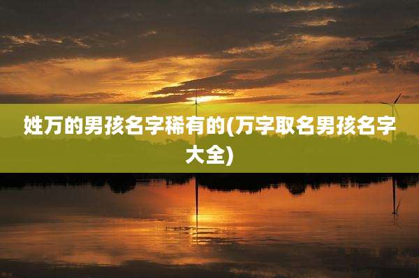 姓万的男孩名字稀有的(万字取名男孩名字大全)