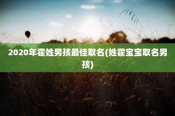 2020年霍姓男孩最佳取名(姓霍宝宝取名男孩)