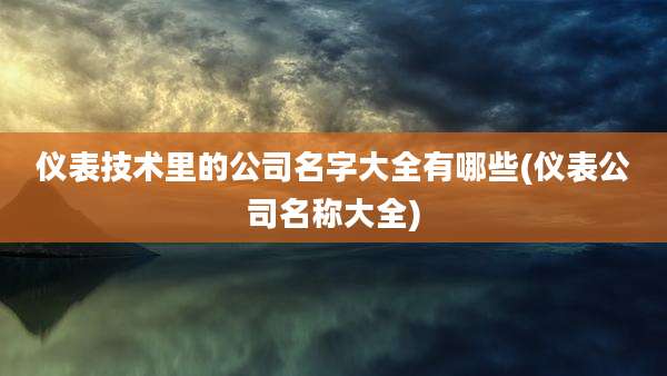 仪表技术里的公司名字大全有哪些(仪表公司名称大全)