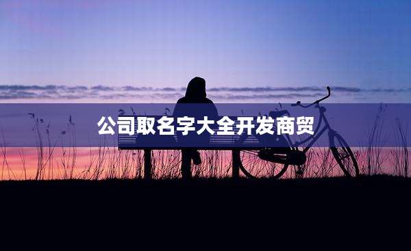 公司取名字大全开发商贸