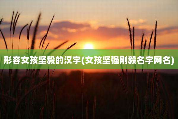 形容女孩坚毅的汉字(女孩坚强刚毅名字网名)