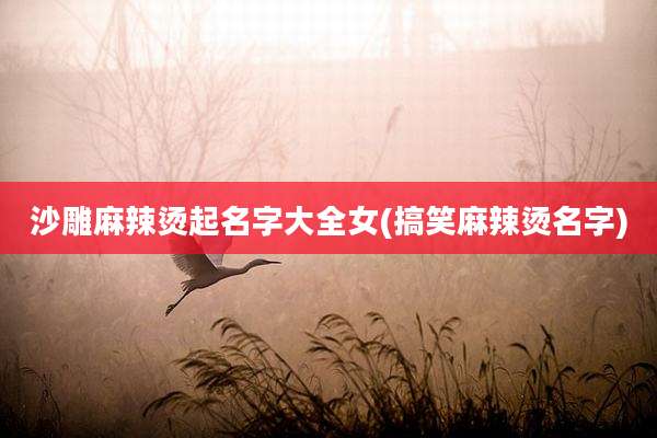 沙雕麻辣烫起名字大全女(搞笑麻辣烫名字)