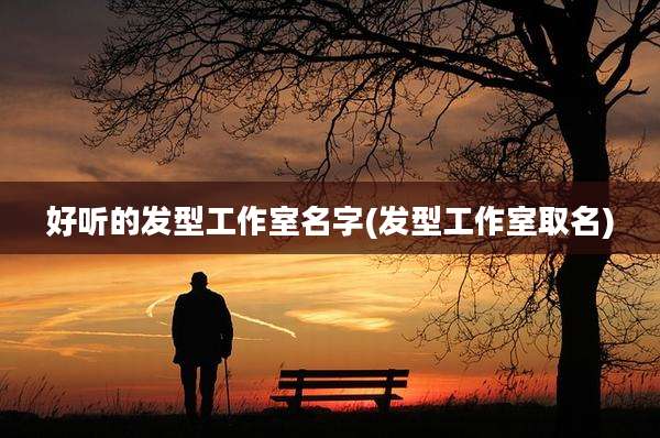 好听的发型工作室名字(发型工作室取名)