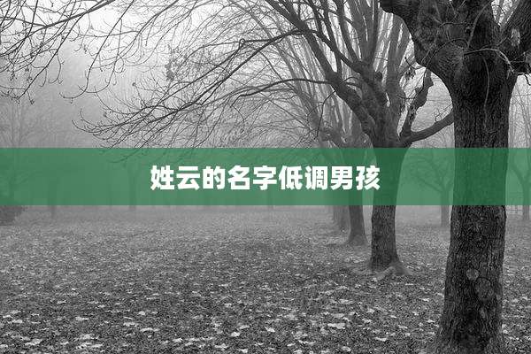 姓云的名字低调男孩